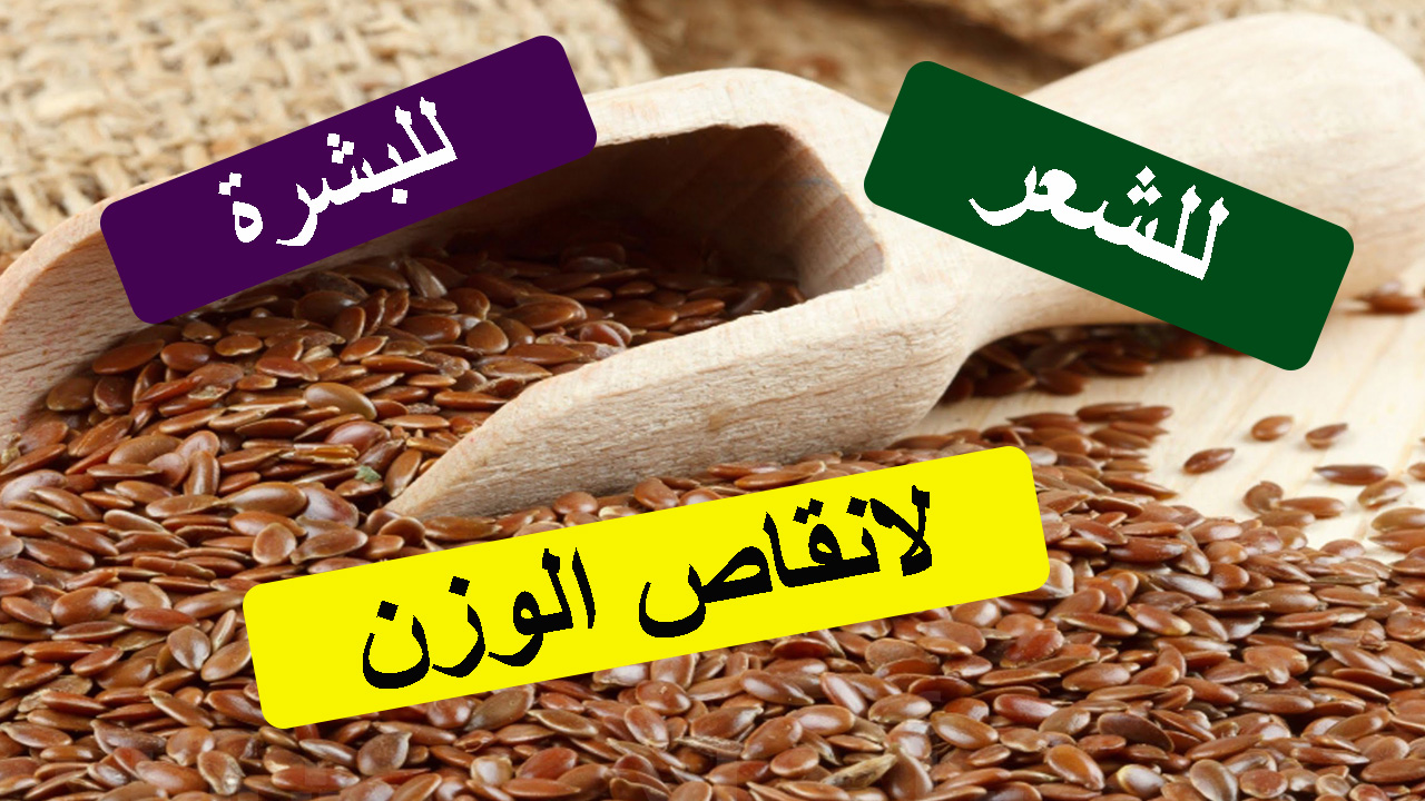 فوائد زريعة الكتان - نباتات الاعشاب لها فوائد كثيرة 2590 2