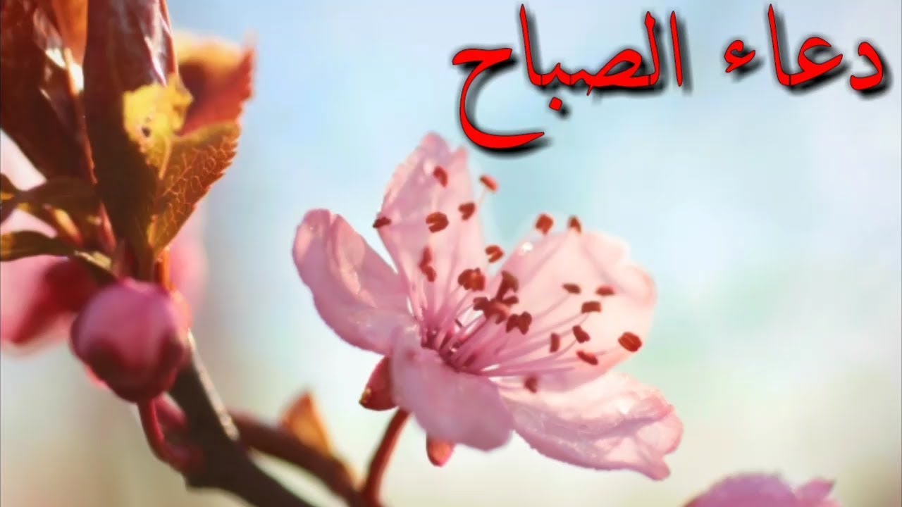 دعاء صباح الخير , ذكر الله في كل وقت