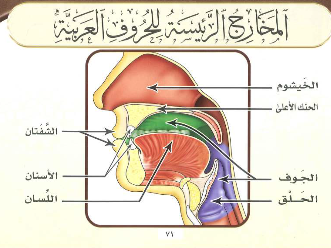 مخارج الحروف وصفاتها - تعرف على مخارج الحروف بالتفصيل 756