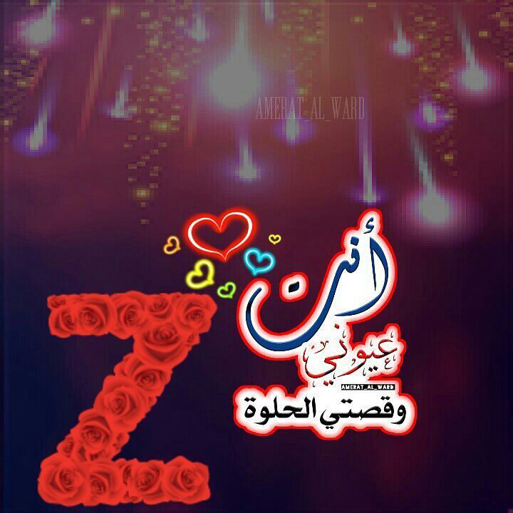 حرف Z حب - ما معنى حرف Z 2665 10