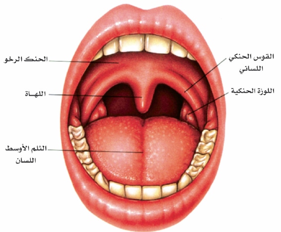 علامات التهاب اللوز - اعراض وعلاج التهاب اللوز Art 15627 A