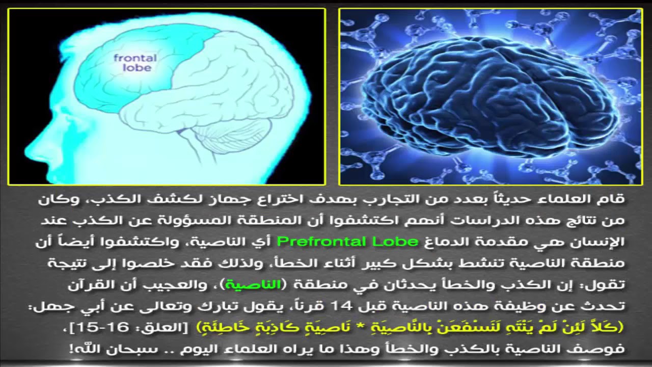 مواضيع علمية مفيدة - معلومة لازم لا تفوتك 2535 2