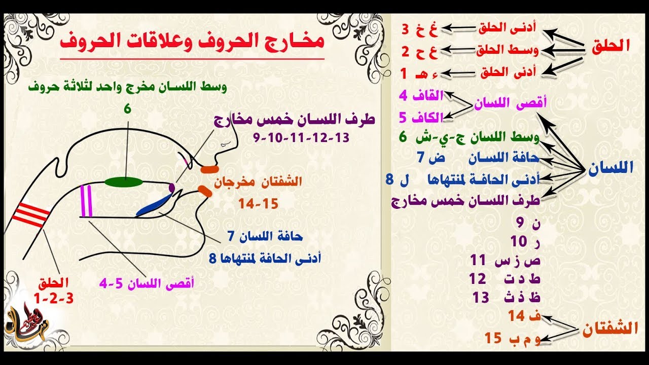 مخارج الحروف وصفاتها - تعرف على مخارج الحروف بالتفصيل 756 3