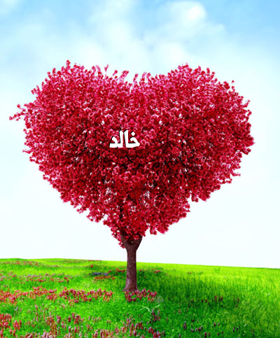 صور لاسم خالد - احلى تصاميم لاسم خالد 1097 1