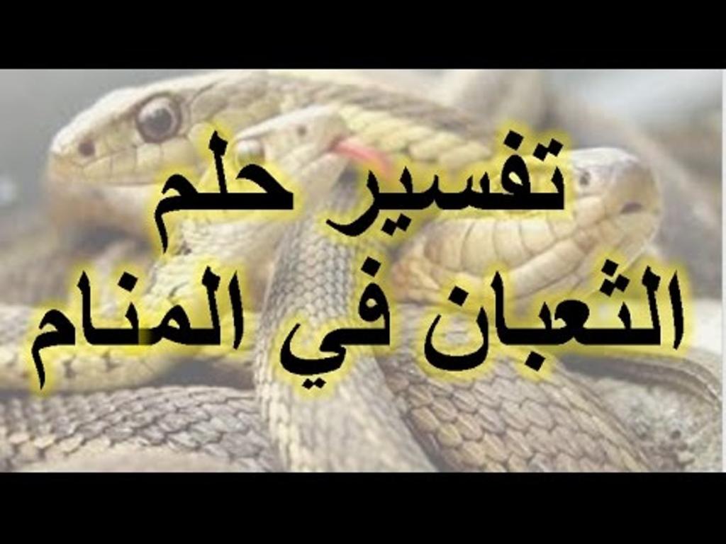 تفسير احلام ثعبان - ثعبان كبير جدا و مخيف 2280 2