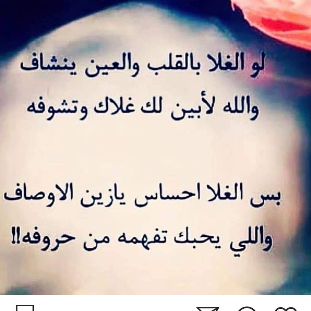 شعر مدح الحبيب 3479 7