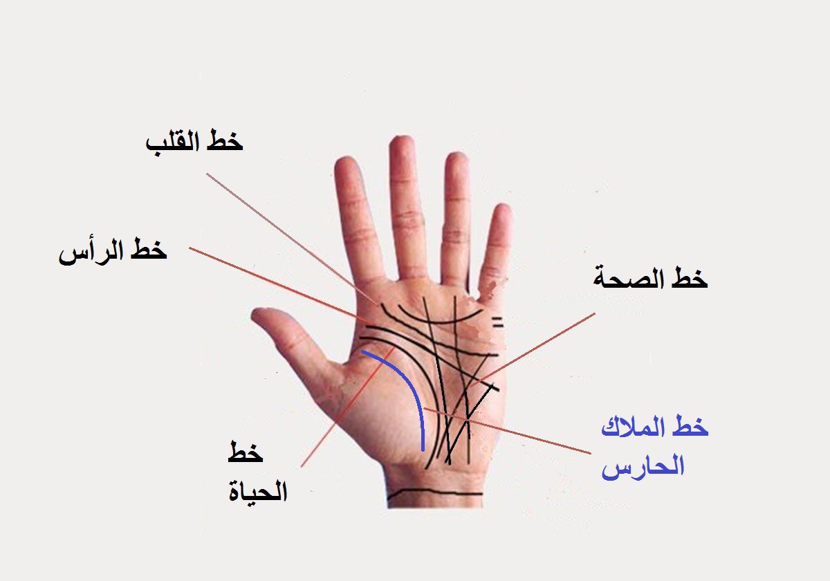 خطوط اليد ومعانيها بالصور , الحقيقة المخباه وراء الكف وطريقة اكتشافها