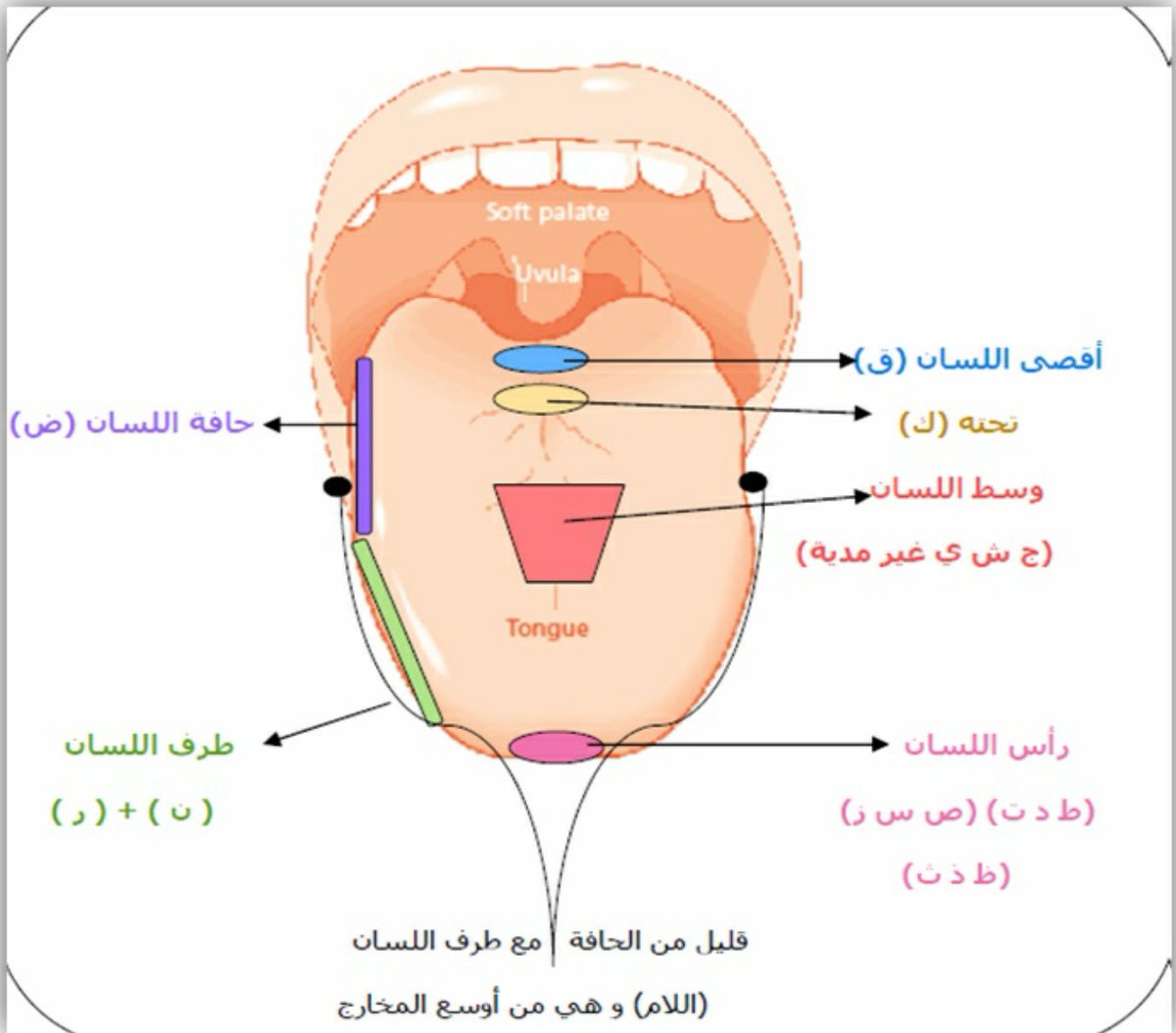 مخارج الحروف وصفاتها - تعرف على مخارج الحروف بالتفصيل 756 2