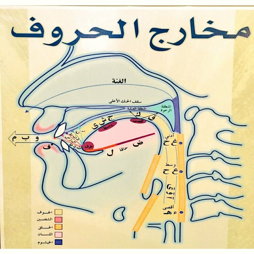 مخارج الحروف وصفاتها - تعرف على مخارج الحروف بالتفصيل 756 4