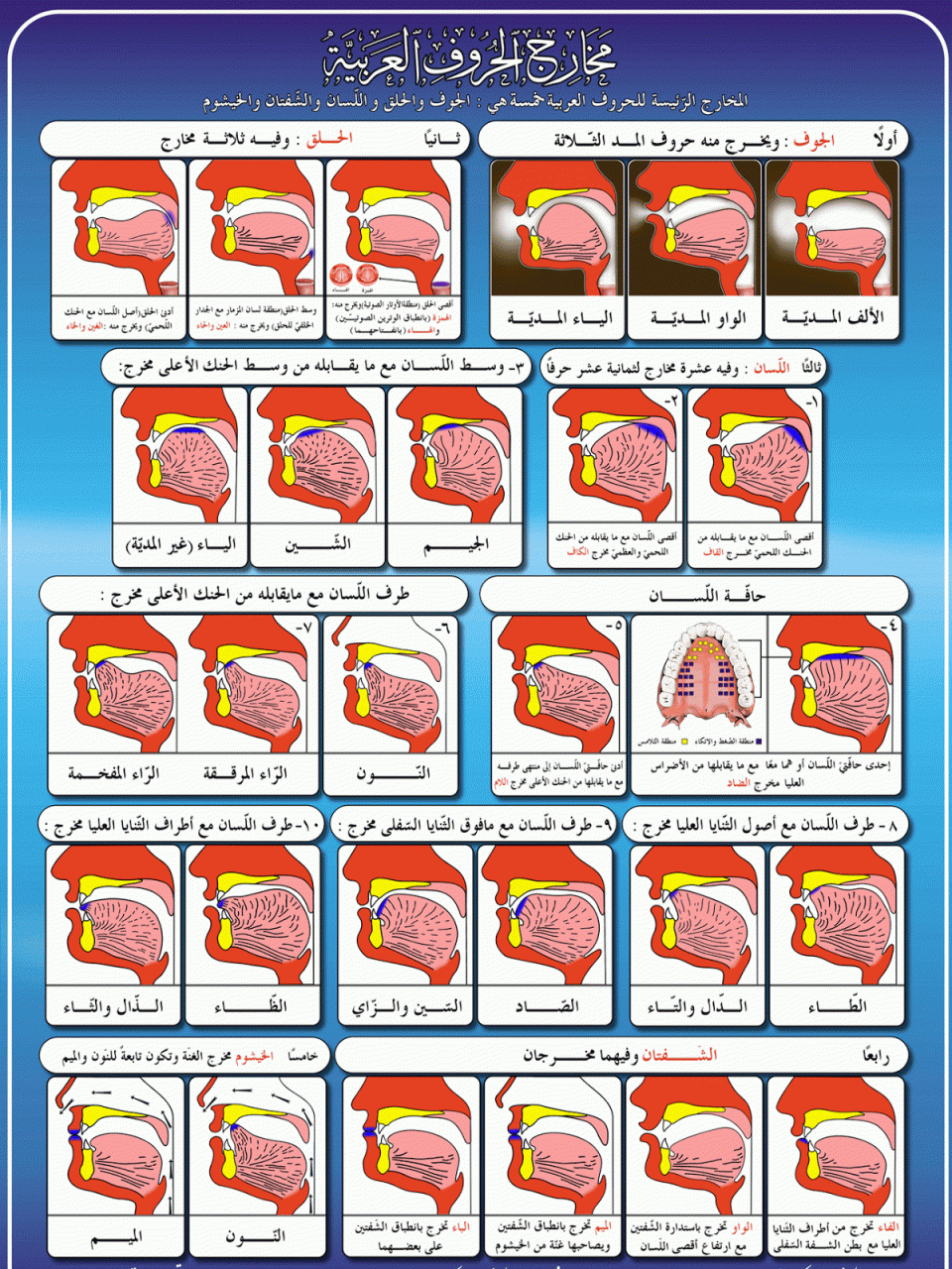 مخارج الحروف وصفاتها - تعرف على مخارج الحروف بالتفصيل 756