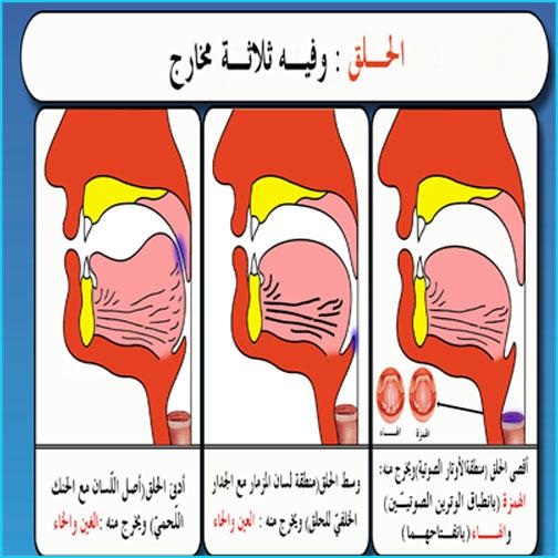 مخارج الحروف وصفاتها - تعرف على مخارج الحروف بالتفصيل 756 8