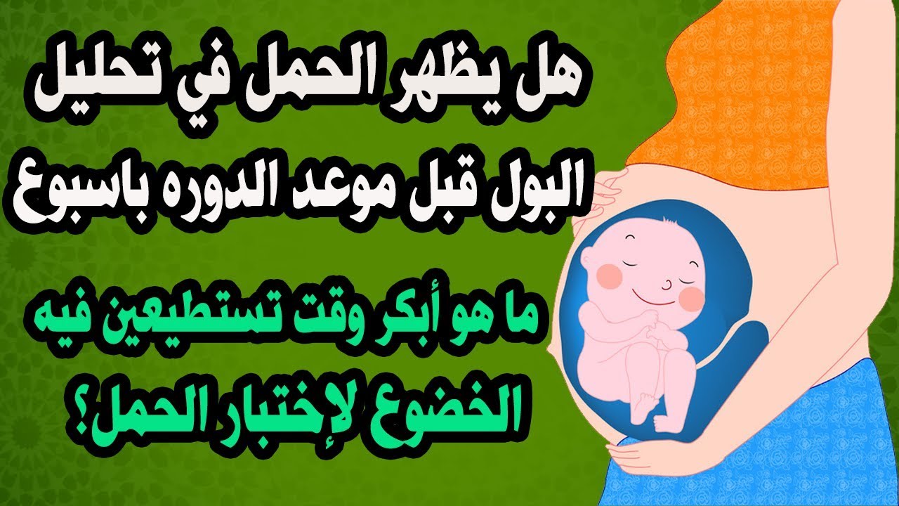 متى يظهر الحمل في البول , تعرفي على موعد ظهور الحمل في البول