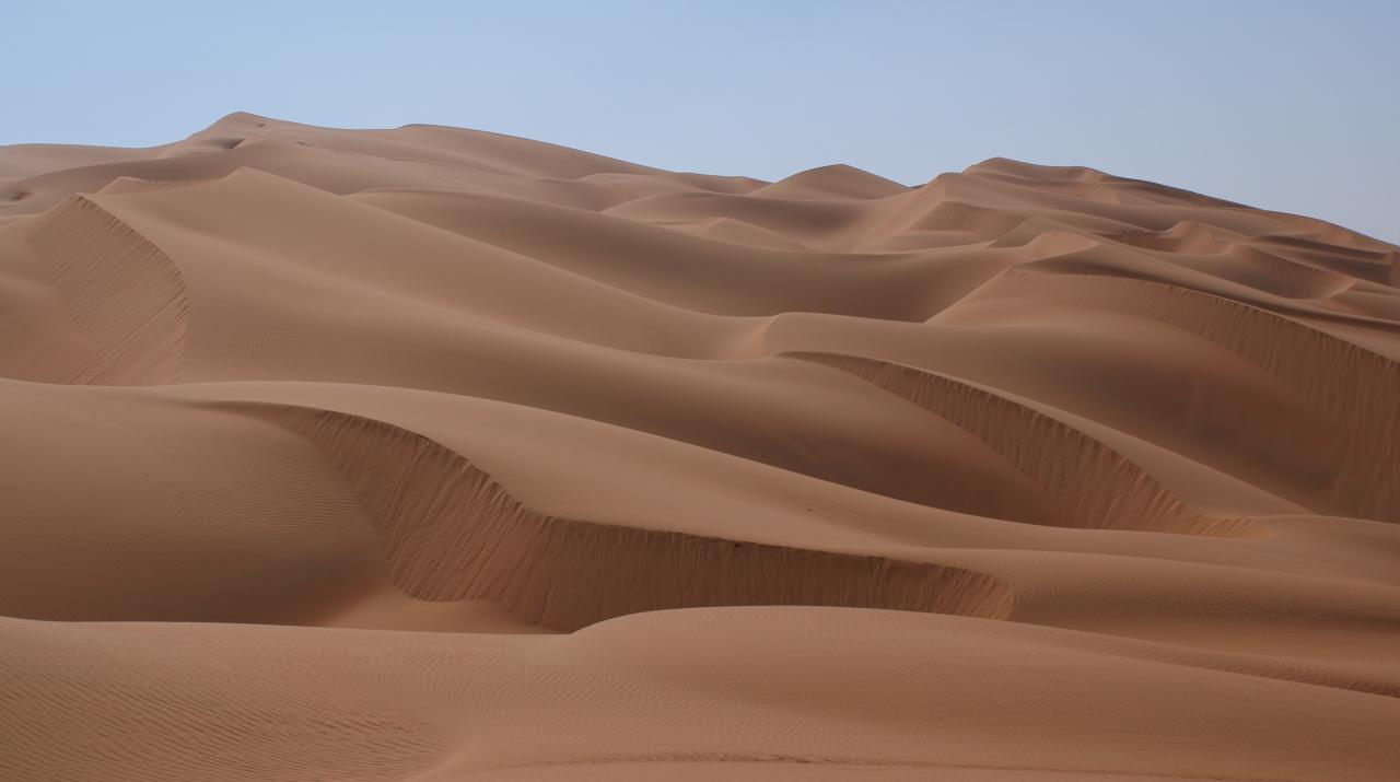 موضوع تعبير عن تعمير الصحراء , خير الاعمال التى تهتم بها الدولة