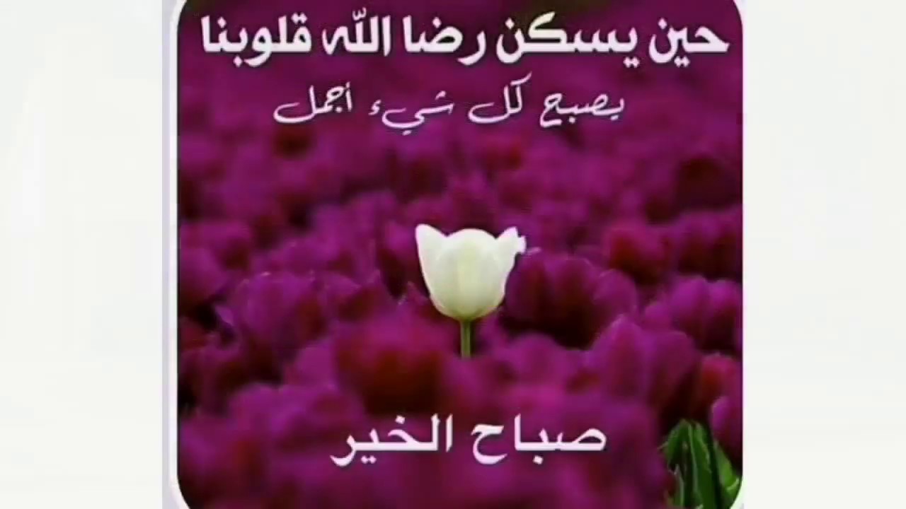 احلي صور الصباح , صور كلمات وعبارات صباحية