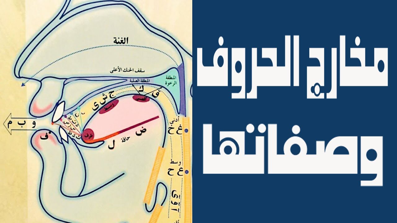 مخارج الحروف وصفاتها - تعرف على مخارج الحروف بالتفصيل 756 5