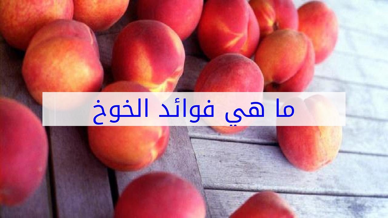 ما هي فوائد الخوخ , من الفواكه التي تعالج الامراض