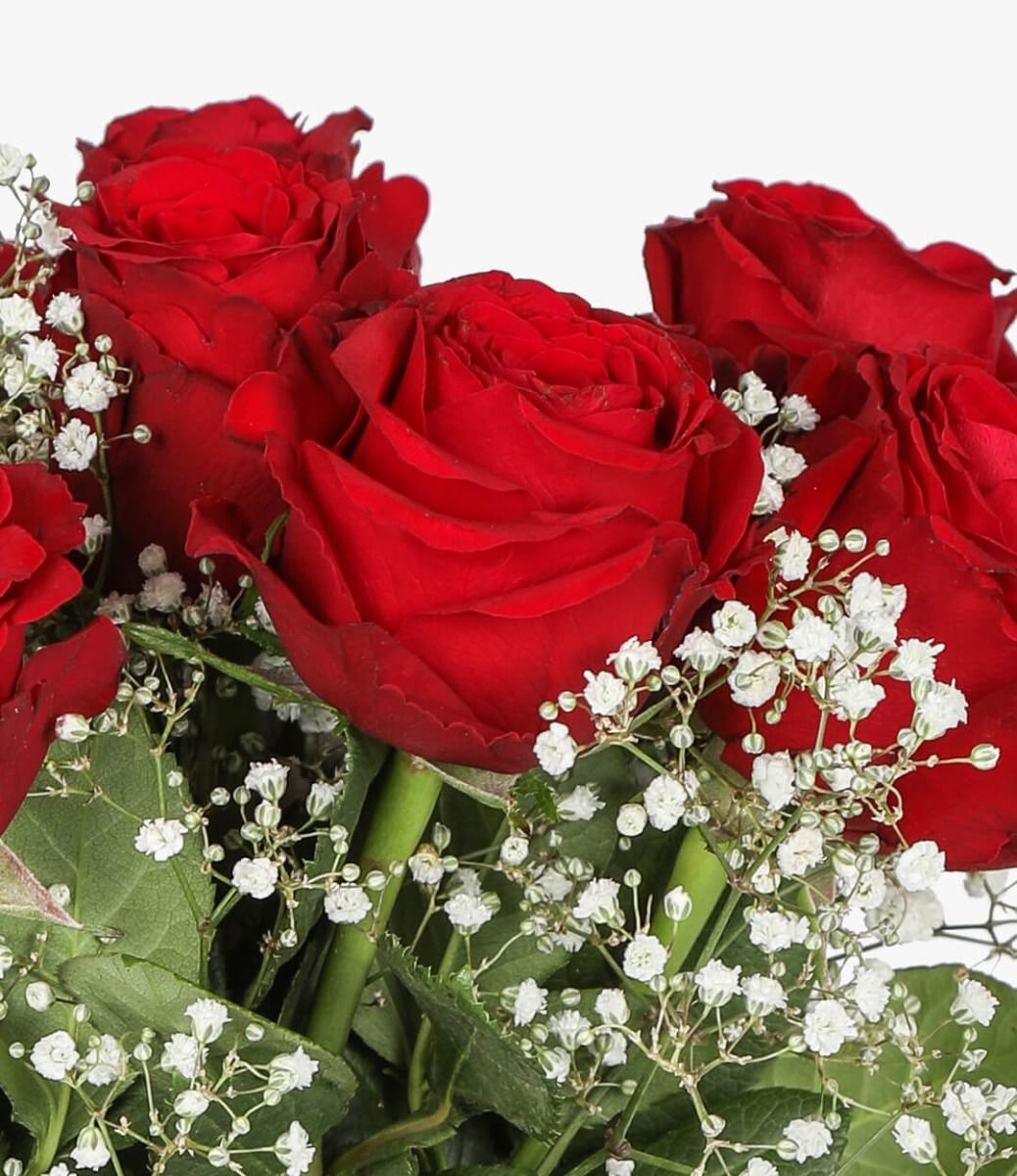 صورة وردة حمراء استمتع باجمل صور الورد الاحمر عجيب وغريب