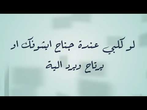 اغنية لو قلبي عنده جناح , بالكلمات كاملة